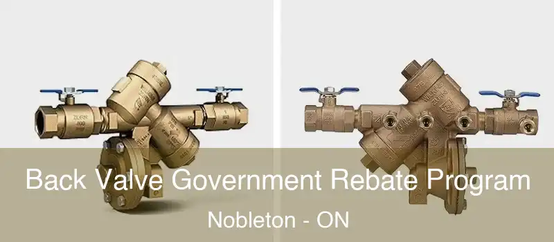  Back Valve Government Rebate Program Nobleton - ON