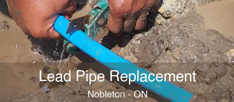  Lead Pipe Replacement Nobleton - ON