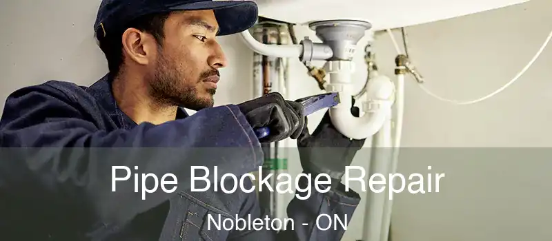  Pipe Blockage Repair Nobleton - ON