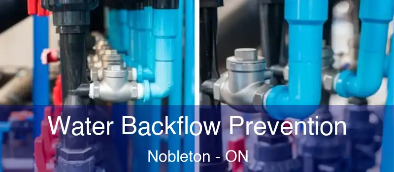  Water Backflow Prevention Nobleton - ON